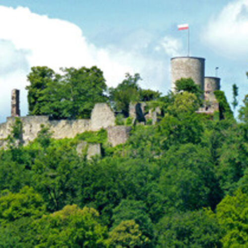 fuhrung-burgruine-hohennagold