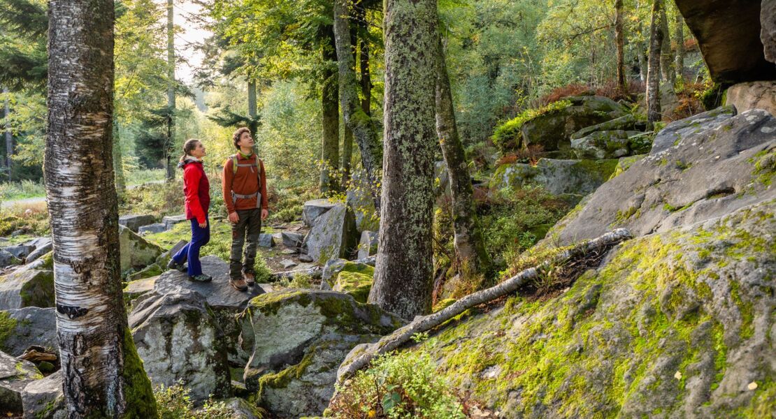 gefuhrte-wanderung-volzemer-steine-dobel