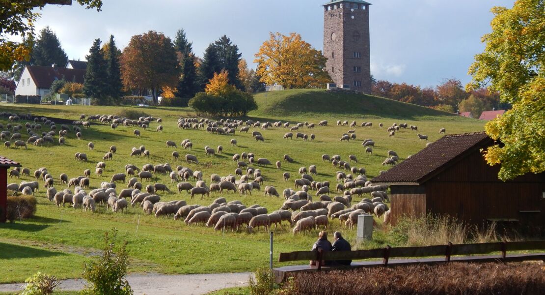 wasserturm-dobel