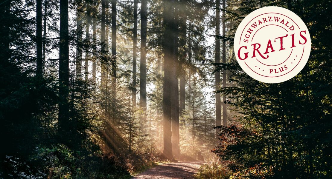 heilklimawanderung