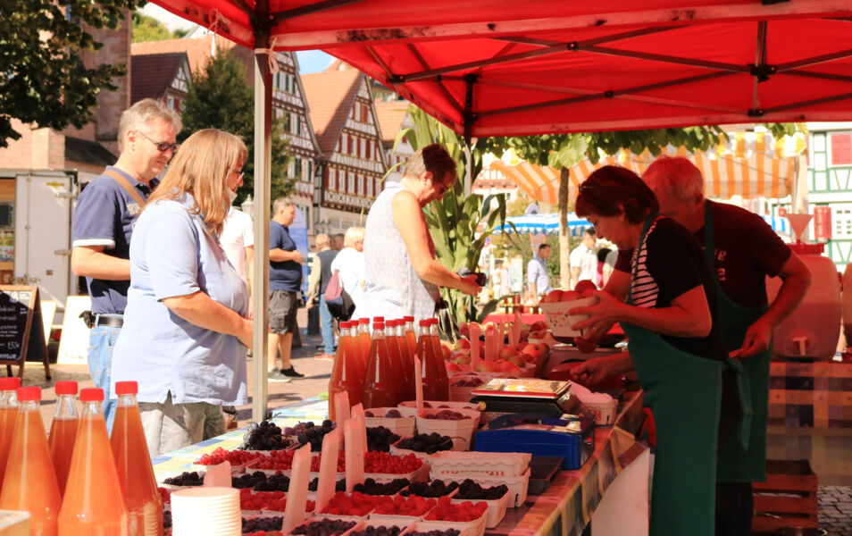 naturpark-markt-calw