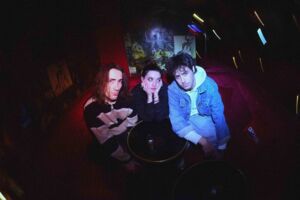 SEX SHOP MUSHROOMS - (FR)  Nu-Grunge