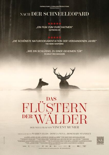 das-flustern-der-walder